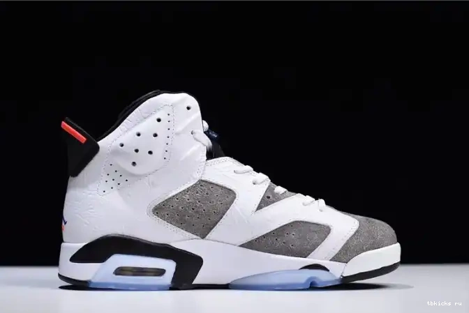 Reps TB Grey Air Jordan 6 CI3125-100 Flint 0622